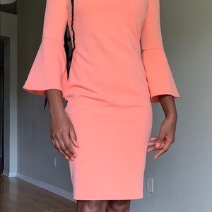 Size 2 Calvin Klein dress